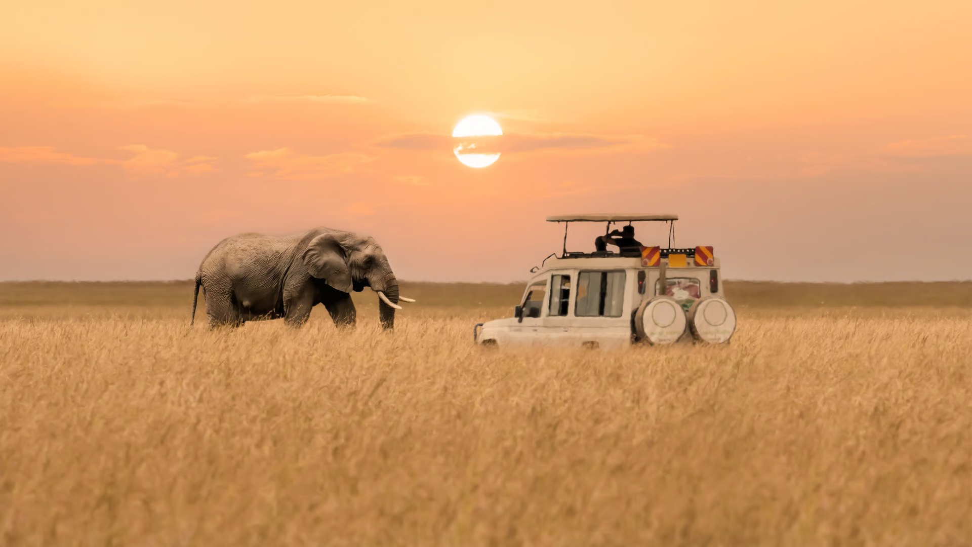 Tsavo East Safari