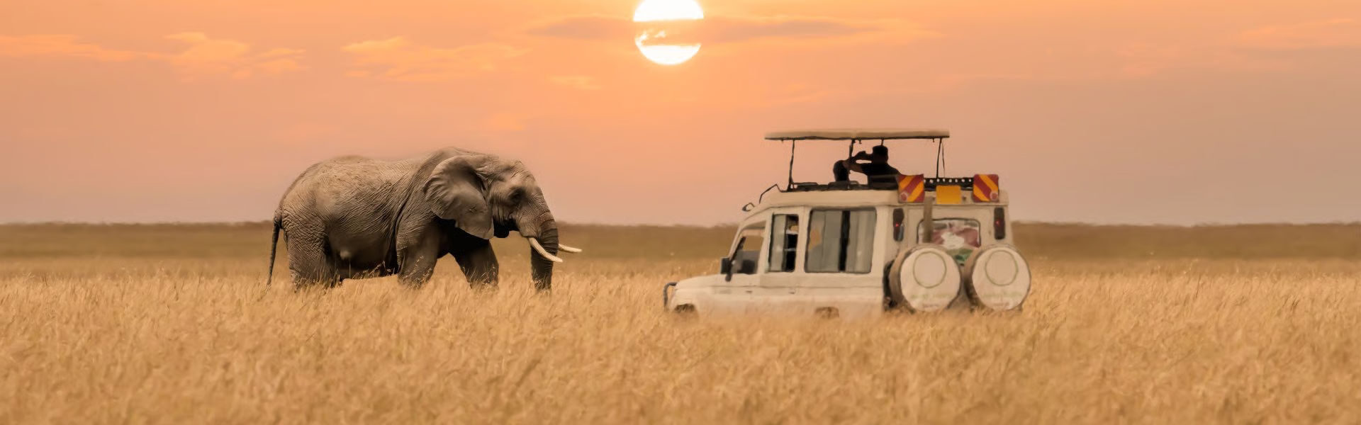 Maasai Mara Safari Adventure